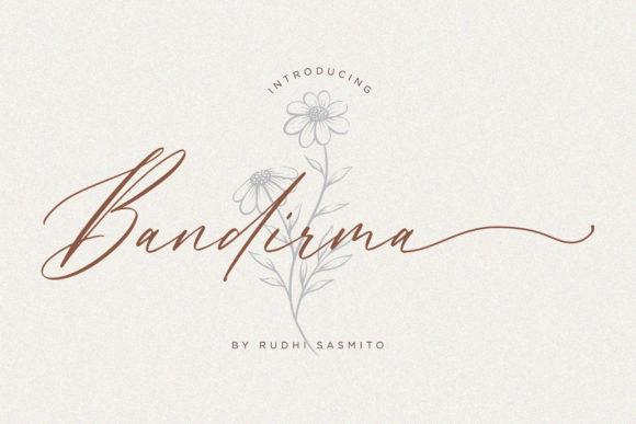 Bandirma Script Font for Small Business Branding
