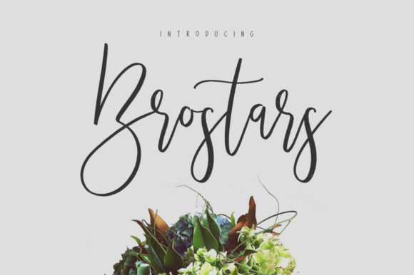 Brostars: A Versatile Duo Font for Makers