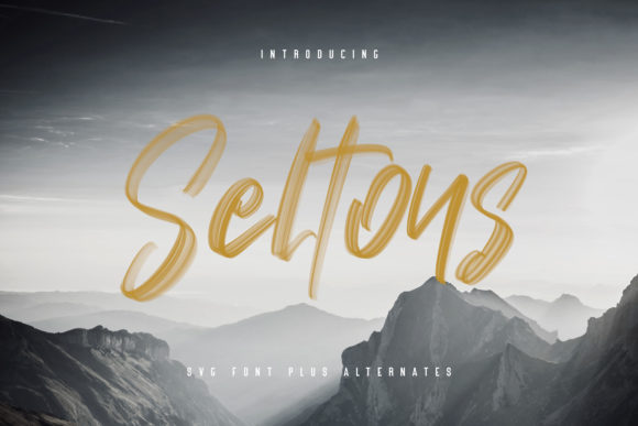 Choosing Seltons for Elegant Editorial Typography