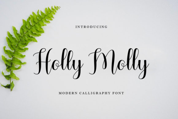 Holly Molly: A Modern Script Typeface for Web Design