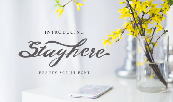 Stayhere Font: Elevating Web Design with Elegance