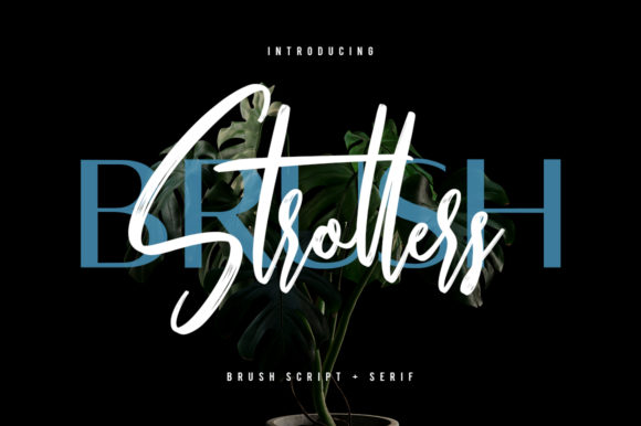 Strollers Font: A Designer’s Review for Campaigns
