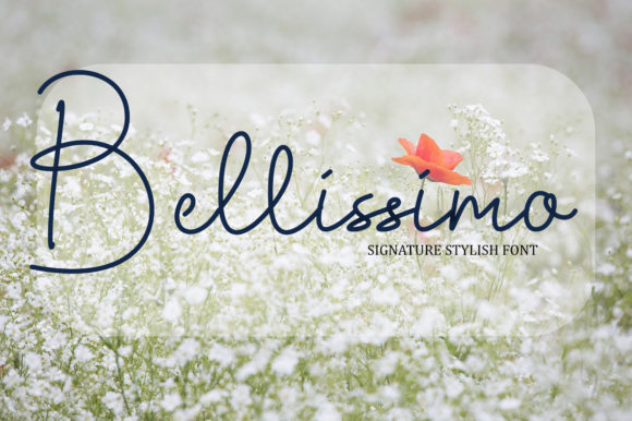 Using Bellissimo Script for Elegant Brand Identity Projects