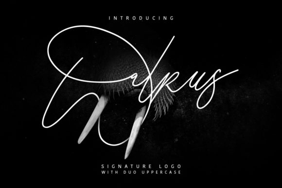 Walrus Script Font for Elegant Handmade Designs